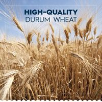 Barilla Penne Rigate